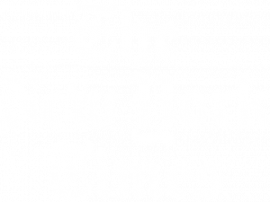 New York Times Logo