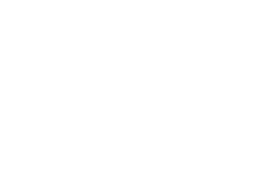 New York Times Logo