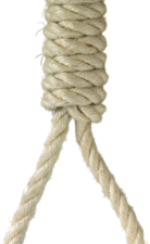 Noose No Background