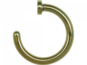 Nose Ring PNG Cutout