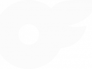 OnlyFans Logo PNG Images HD