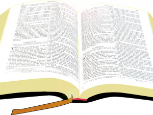 Open Bible PNG File