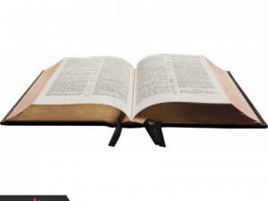 Open Bible PNG Images