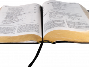 Open Bible PNG Images HD