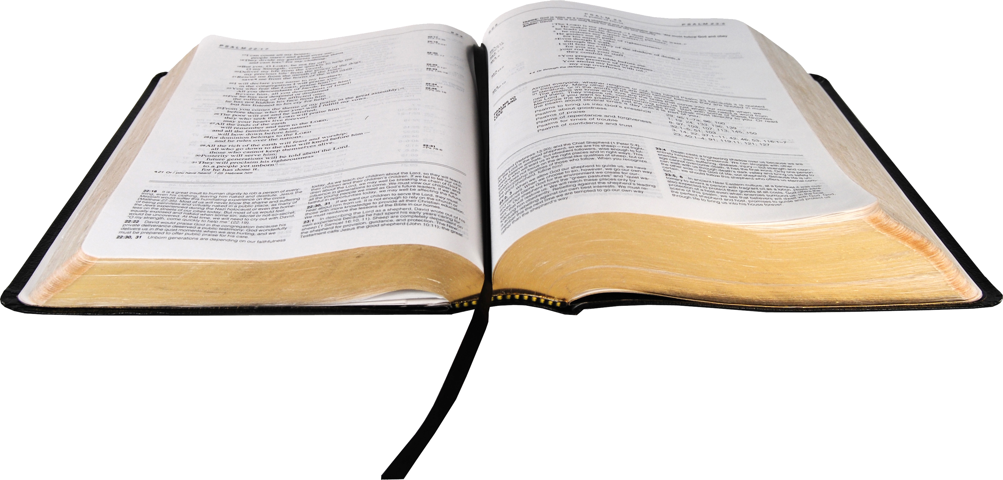 Open Bible PNG Images HD