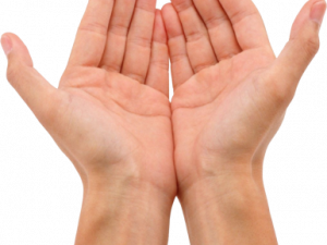 Open Hands PNG Picture