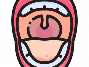 Open Mouth PNG Image HD