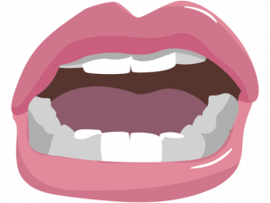 Open Mouth PNG Images HD