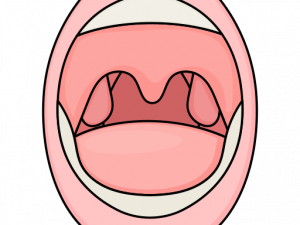 Open Mouth PNG Photo