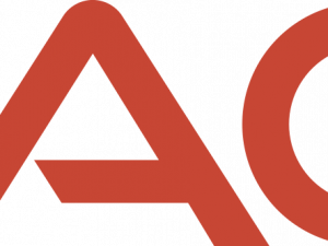 Oracle Logo PNG File