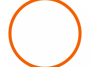 Orange Circle PNG Images