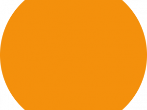 Orange Circle PNG Images HD