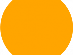 Orange Circle PNG Photos