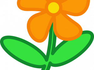 Orange Flower