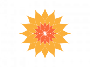 Orange Flower PNG Image