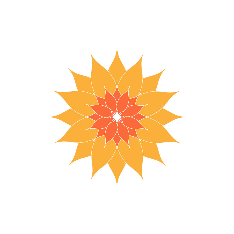 Orange Flower PNG Image