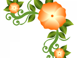 Orange Flower PNG Images