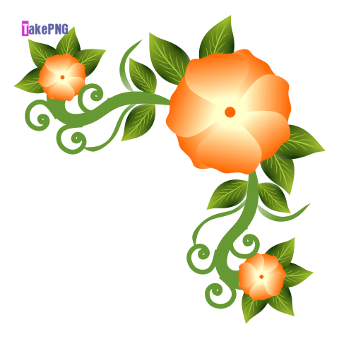 Orange Flower PNG Images