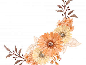 Orange Flower PNG Photo