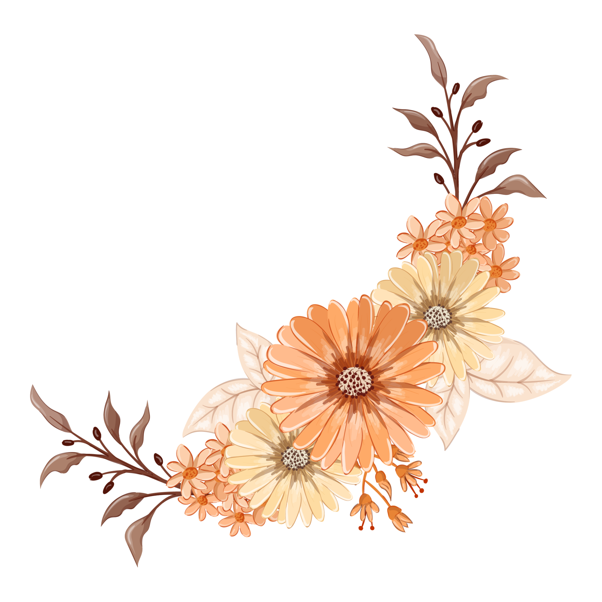 Orange Flower PNG Photo