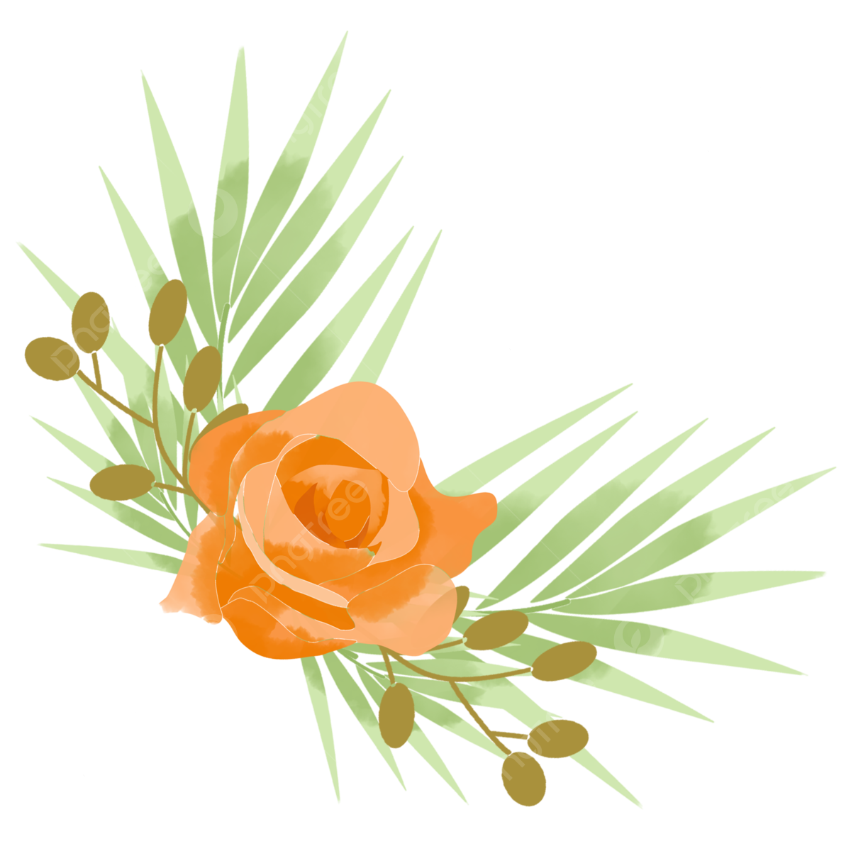 Orange Flower PNG Photos