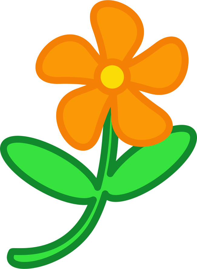 Orange Flower