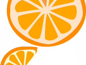 Orange Slice