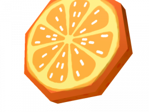 Orange Slice PNG