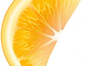 Orange Slice PNG Cutout