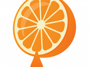 Orange Slice PNG File