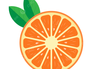 Orange Slice PNG Images