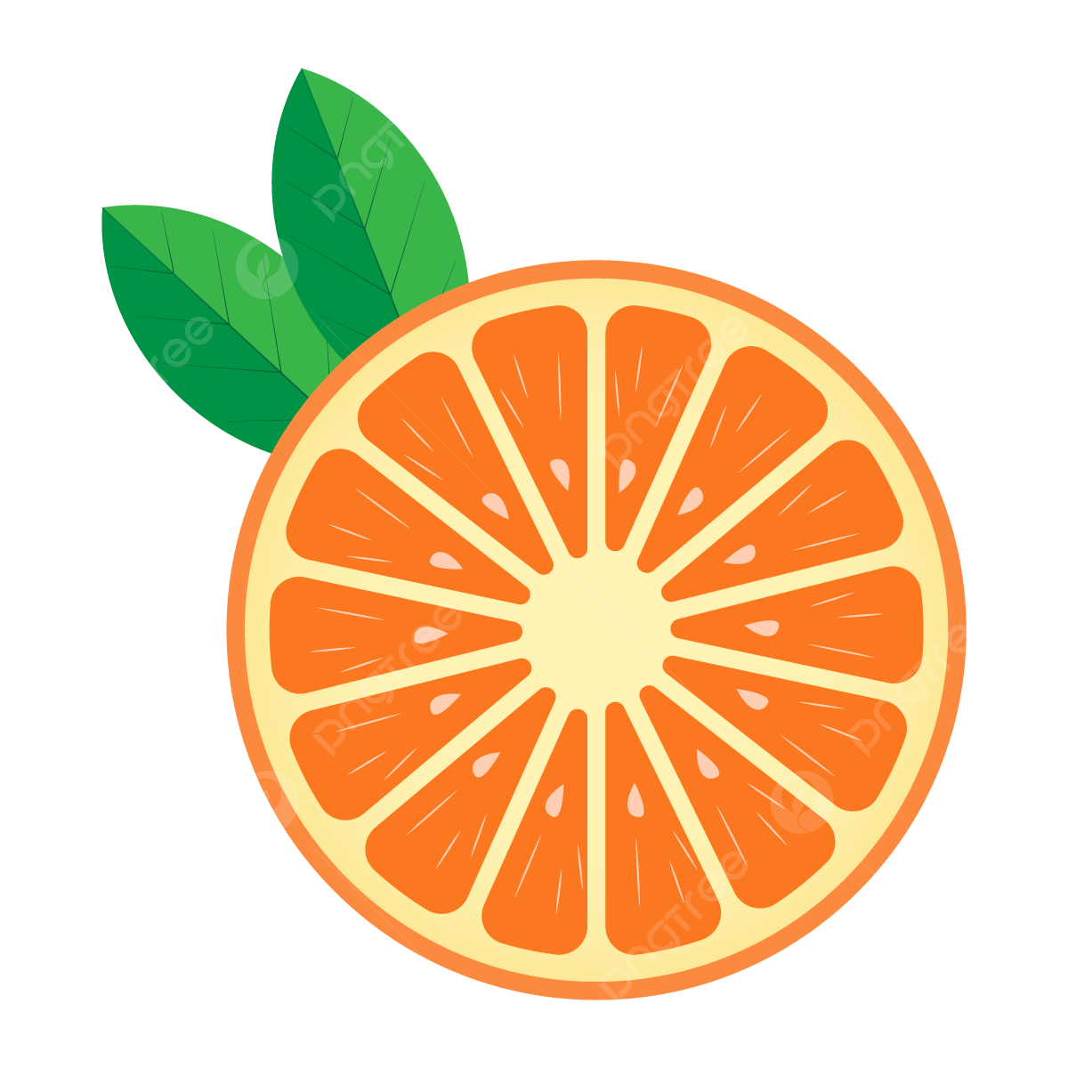 Orange Slice PNG Images