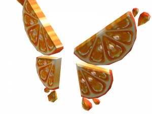 Orange Slice PNG Photos