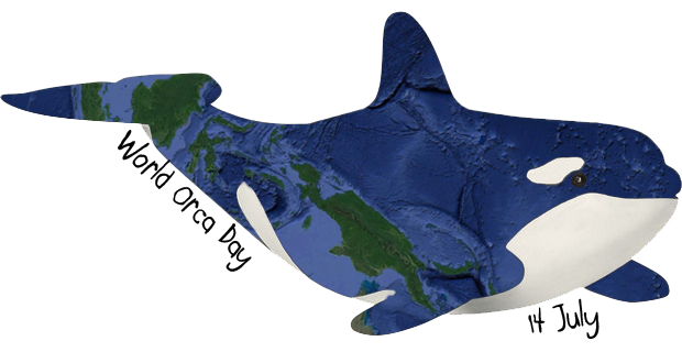 Orca Whale Background PNG