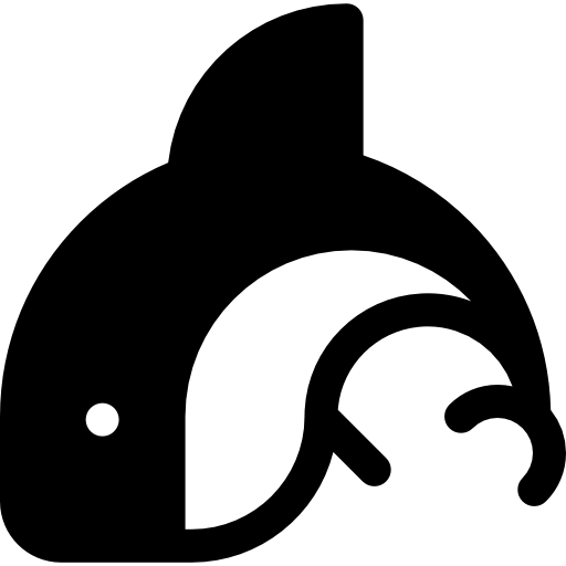 Orca Whale No Background