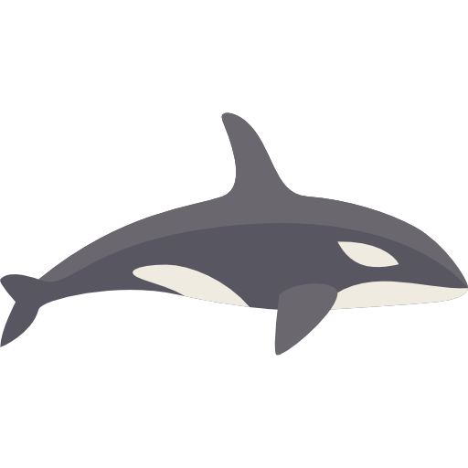 Orca Whale PNG Clipart