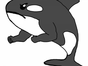 Orca Whale PNG Cutout