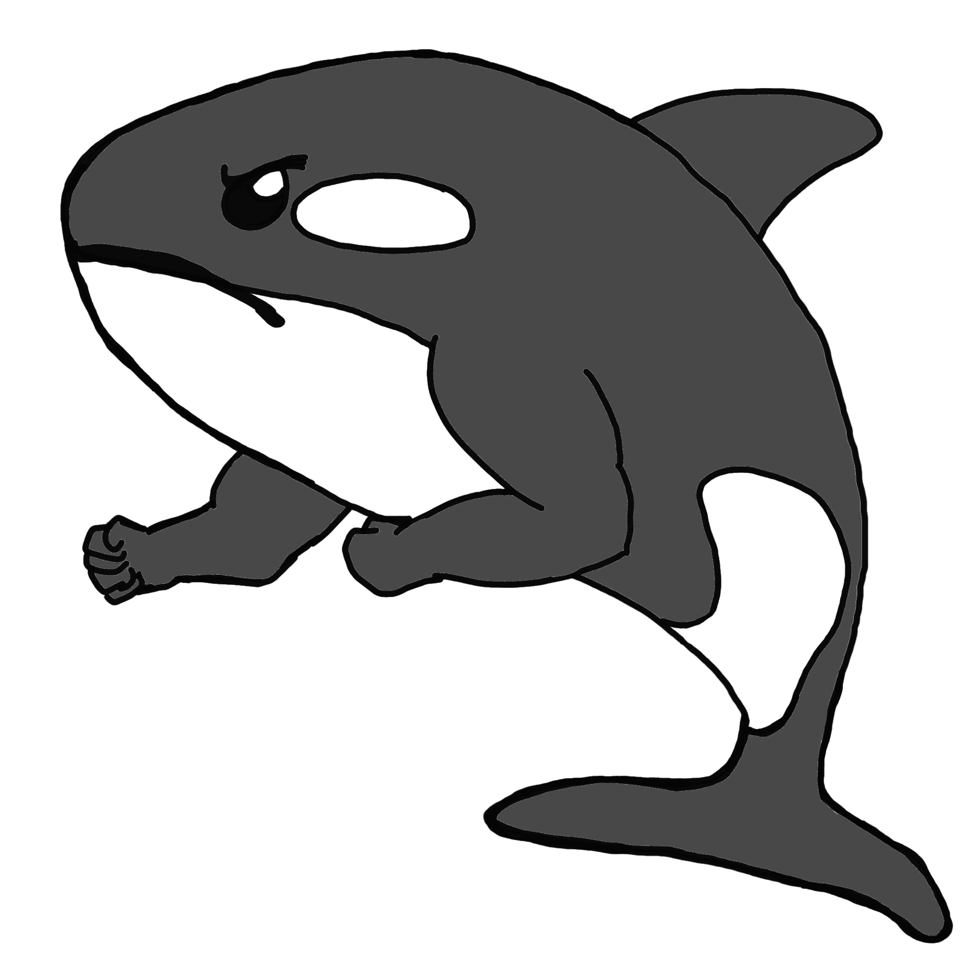 Orca Whale PNG Cutout