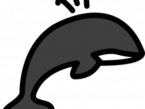 Orca Whale PNG Free Image