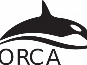 Orca Whale PNG HD Image