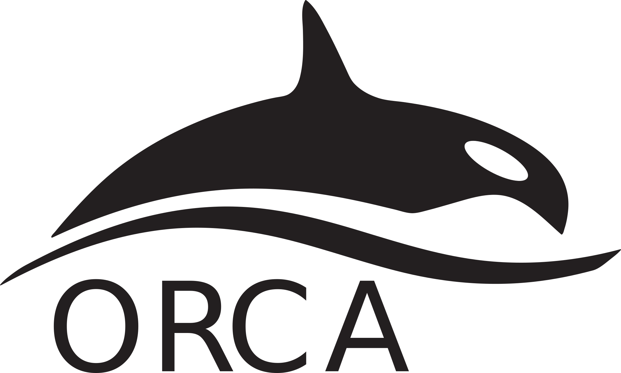 Orca Whale PNG HD Image