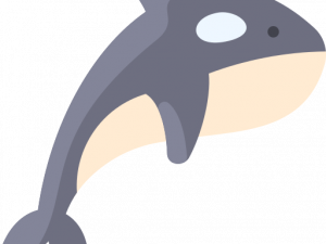 Orca Whale PNG Image HD