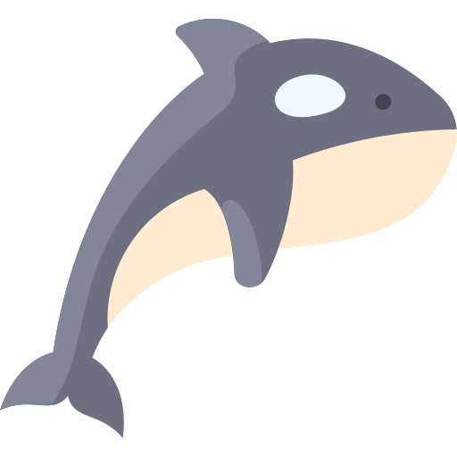 Orca Whale PNG Image HD