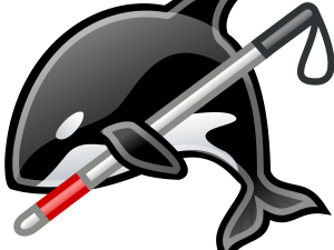 Orca Whale PNG Images