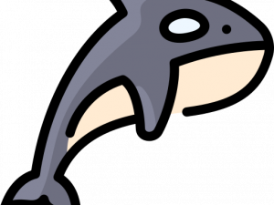 Orca Whale PNG Images HD