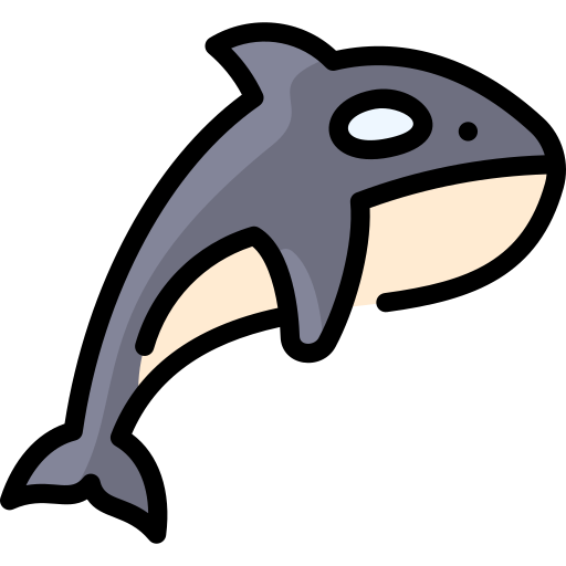 Orca Whale PNG Images HD