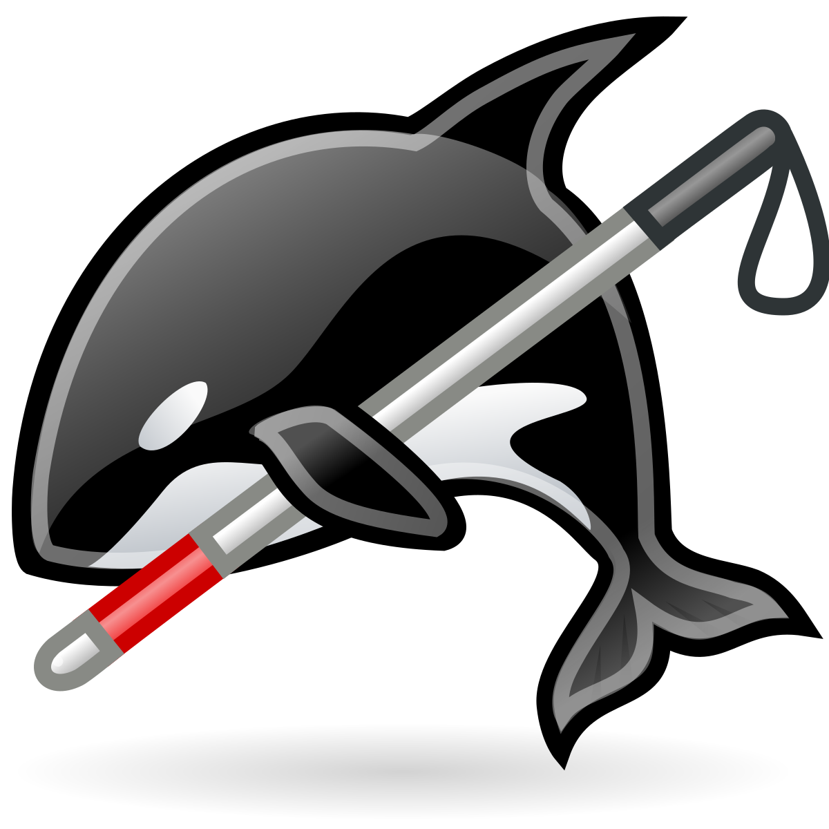 Orca Whale PNG Images