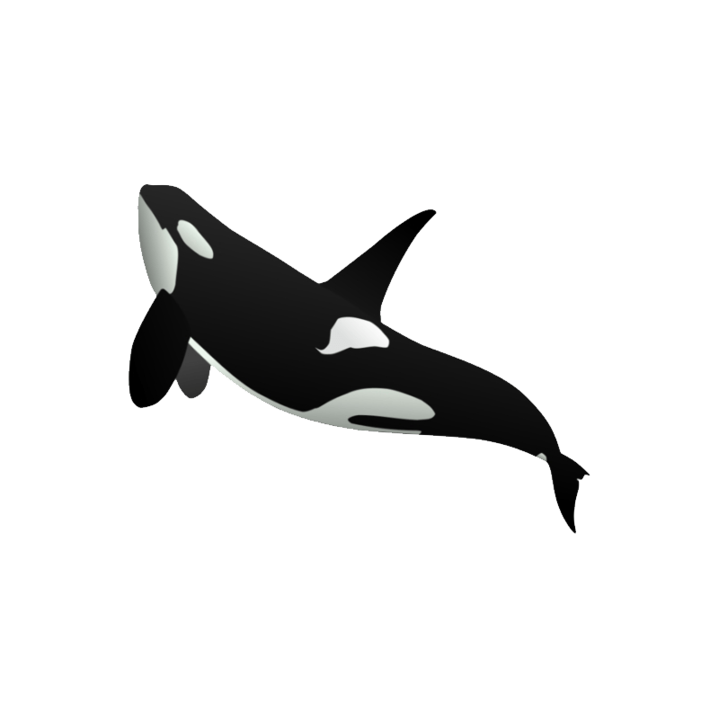 Orca Whale PNG Pic