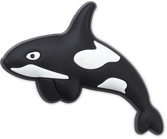 Orca Whale