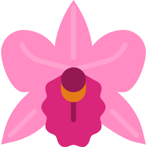 Orchids PNG Free Image